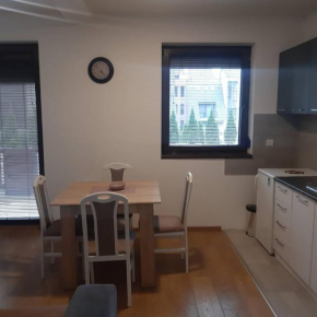 Zlatibor apartman Sremac, Zlatibor